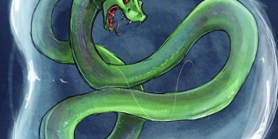 Imagem do grupo de WhatsApp Recrutamento projeto 🐍Nagines🐍