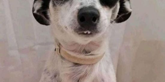 Imagem do grupo de WhatsApp Grupo KKKKKKK