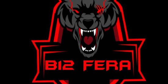 Imagem do grupo de WhatsApp B 12 FERa