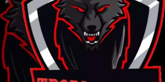 Imagem do grupo de WhatsApp TROPA ALPHA