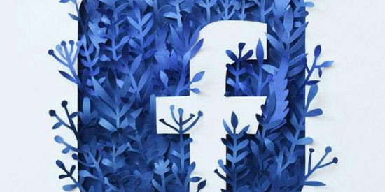 Imagem do grupo de WhatsApp 🌐GRUPO FACEBOOK🌐