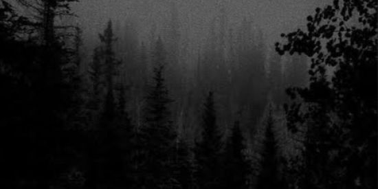 Imagem do grupo de WhatsApp 🃏 -UNTIL DAWN- 🀄️