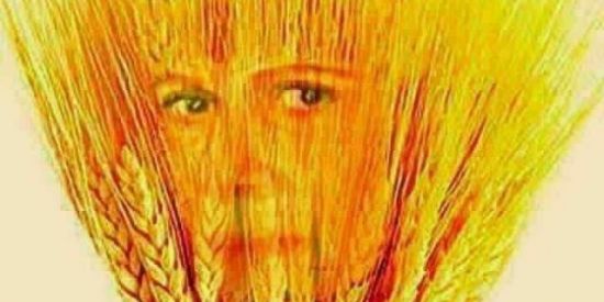 Imagem do grupo de WhatsApp Shitposter 😎✅