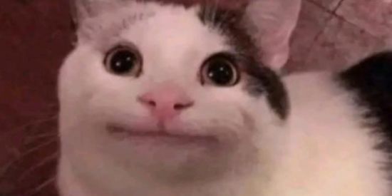 Imagem do grupo de WhatsApp Gf dos alunos tlgd🥶