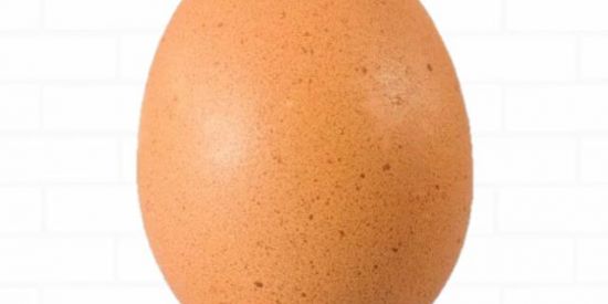 Imagem do grupo de WhatsApp ⚠︎🥚João do ovo🥚⚠︎