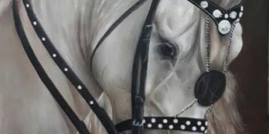 Imagem do grupo de WhatsApp Vaqueijada e minha paixão 🐴💖