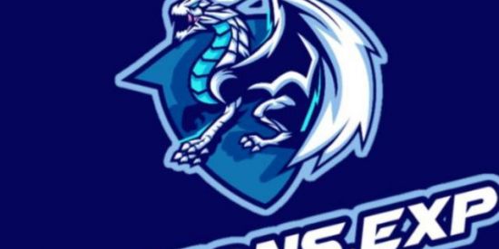 Imagem do grupo de WhatsApp Esquad do Drogons.EXP