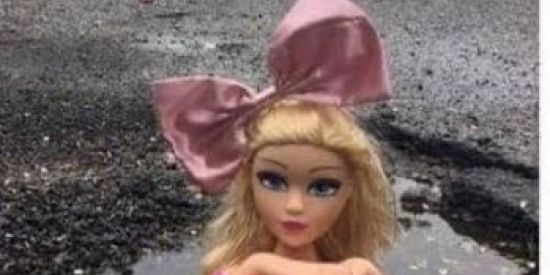 Imagem do grupo de WhatsApp Unidos na Fossa