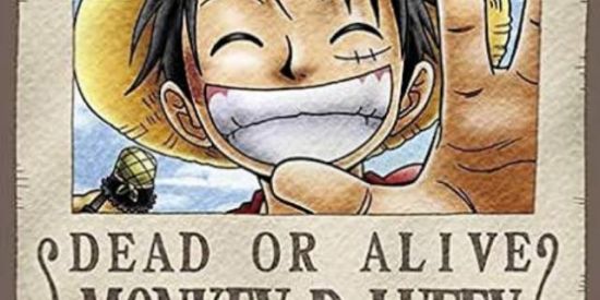 Imagem do grupo de WhatsApp One Piece