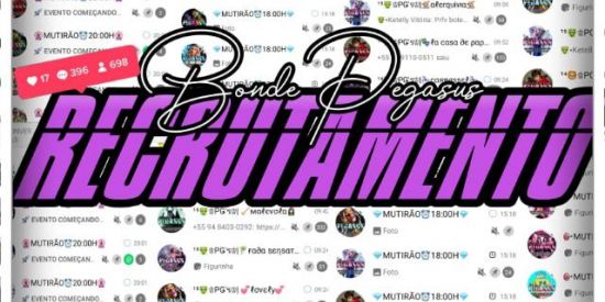 Imagem do grupo de WhatsApp 🦄RECRUTAMENTO ♔PǤ'ร♔🦄
