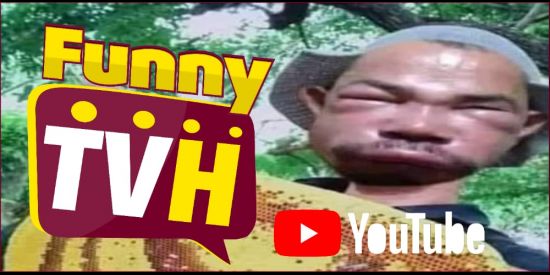 Imagem do grupo de WhatsApp Funny TVH😂