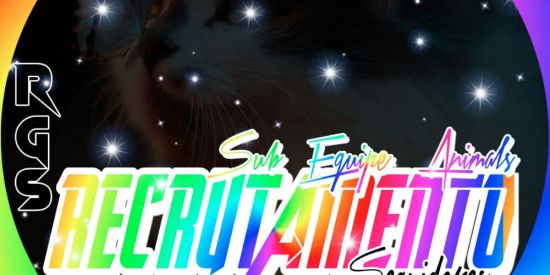 Imagem do grupo de WhatsApp Recrutamento rg's✨