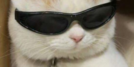 Imagem do grupo de WhatsApp ZΘEIRA