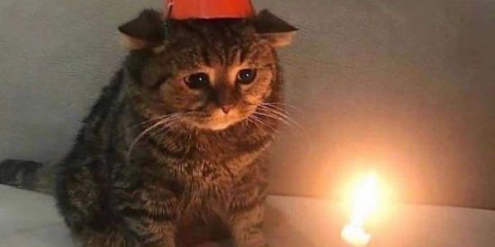 Imagem do grupo de WhatsApp Grupo