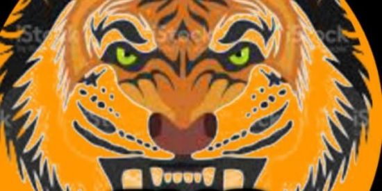 Imagem do grupo de WhatsApp Recrutamento da Aks🐯