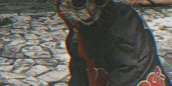 Imagem do grupo de WhatsApp Morro do alemão 2.0