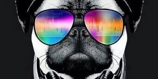 Imagem do grupo de WhatsApp PazEamor✌️