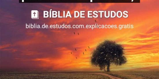 Imagem do grupo de WhatsApp Unidos em Cristo Jesus