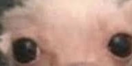 Imagem do grupo de WhatsApp 🥶Animes legais🥶