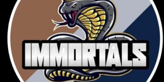 Imagem do grupo de WhatsApp Ganhar seguidores no insta