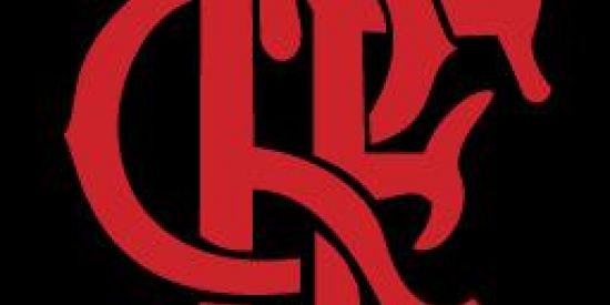 Imagem do grupo de WhatsApp Live do mengão com imagem