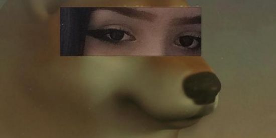 Imagem do grupo de WhatsApp Grupo dos doidos😂💥