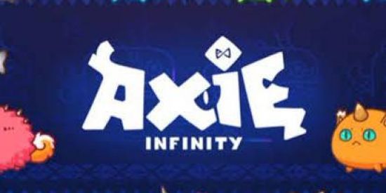 Imagem do grupo de WhatsApp Axie Infinity dinheiro