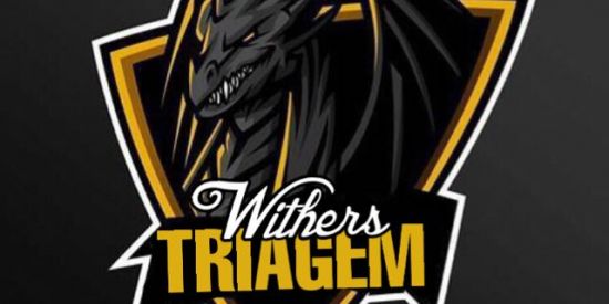 Imagem do grupo de WhatsApp 🦋⃤TRIAGEM WITHER 🦋⃤