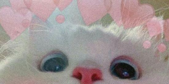 Imagem do grupo de WhatsApp ♦️Amizade & figurinhas♦️