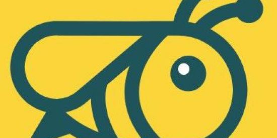 Imagem do grupo de WhatsApp Honeygain Códigos