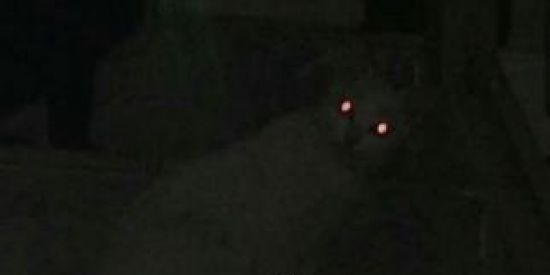 Imagem do grupo de WhatsApp ⃟⃟🇯🇵⃟⃢  SY߬INC ꪶ𖣂ꫂ1.9.2.5.