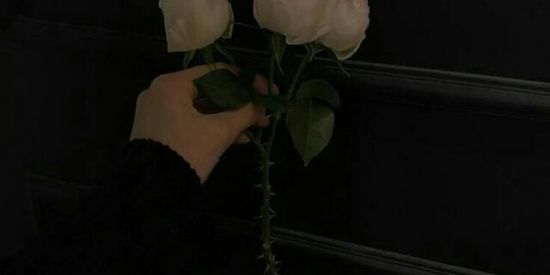 Imagem do grupo de WhatsApp ༄3black☀︎︎is bitch ¡༄