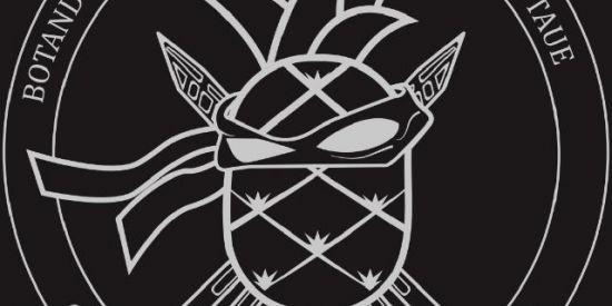 Imagem do grupo de WhatsApp ⚔️ Flipping BRASIL ⚔️