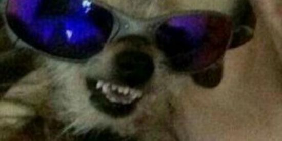 Imagem do grupo de WhatsApp 🔮✨🌈丂ㄖ 乃尺ㄖᗪ乇尺卂ᘜ乇爪✨🌈🔮