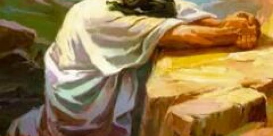 Imagem do grupo de WhatsApp 🙏🏻INTERCESSORES de JESUS🙌