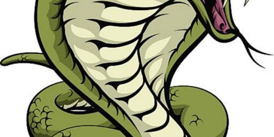 Imagem do grupo de WhatsApp 🐍Recrutamento 🐍รи'ร🐍