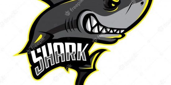 Imagem do grupo de WhatsApp Barraca da mãe Joana