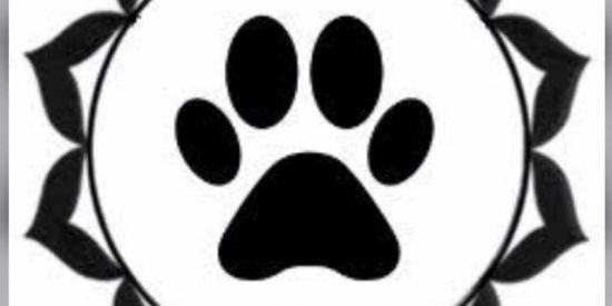 Imagem do grupo de WhatsApp 🐶🐈Reiki para Pets