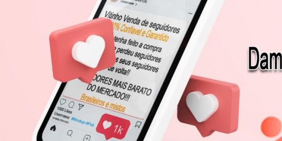 Imagem do grupo de WhatsApp Chuva de Seguidores