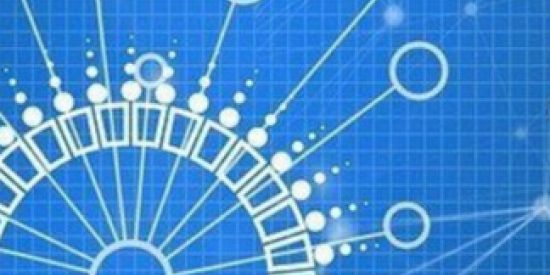 Imagem do grupo de WhatsApp Descentralismo