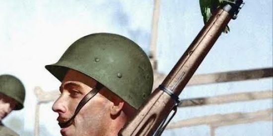 Imagem do grupo de WhatsApp Camaradas brazileiros