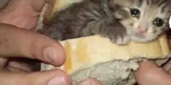 Imagem do grupo de WhatsApp MIaUsuRtaDoS🇦🇴