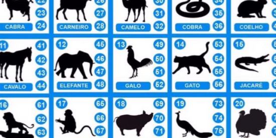 Imagem do grupo de WhatsApp musa premiações 🦋