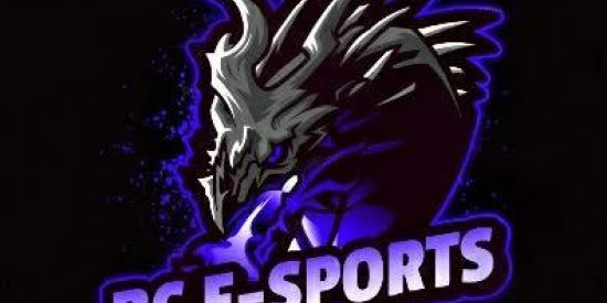 Imagem do grupo de WhatsApp 💥BC E-SPORTS💥