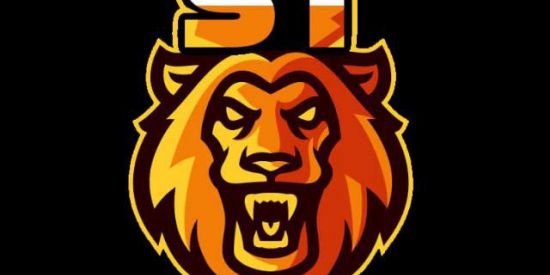 Imagem do grupo de WhatsApp FOX GAMING( Testes)🔥