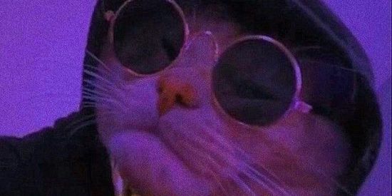 Imagem do grupo de WhatsApp 🔱.ɓα૨ ∂σร εɳ૮αlɦα∂σร.⚜️