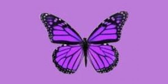 Imagem do grupo de WhatsApp Lúpus🦋🩺🥼