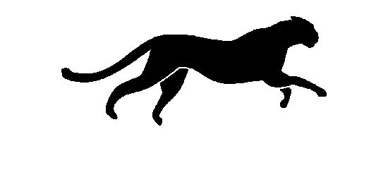 Imagem do grupo de WhatsApp Panthera ☘️ 📈