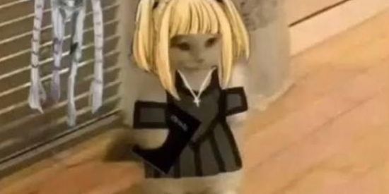 Imagem do grupo de WhatsApp >grupo dos frutas<