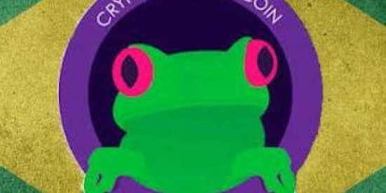 Imagem do grupo de WhatsApp 🐸 WiBX CRIPTOMOEDA 🚀